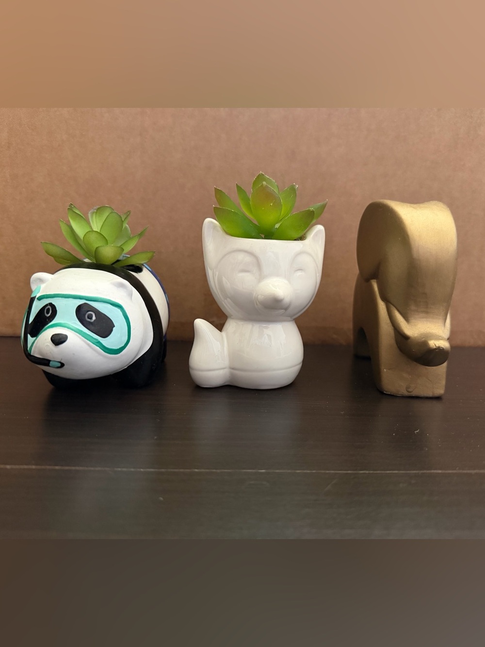 Succulent Decor